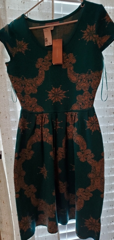 Myan ( Francesca's Closet) Turquoise sweater dress